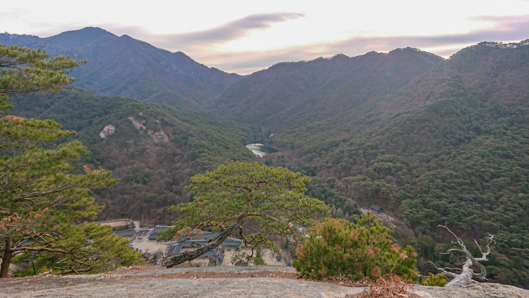 A Weekend of Peace and Harmony at Beopjusa (법주사) Temple